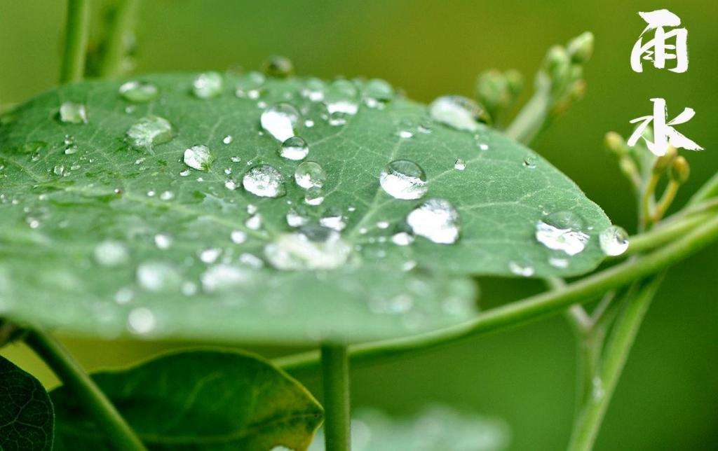 雨水！